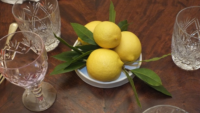 Home grown lemons